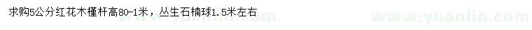 求購5公分紅花木槿、1.5米叢生石楠球