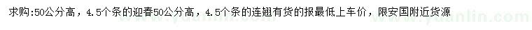 求購高50公分迎春、連翹