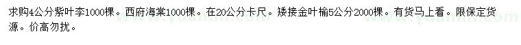 求購紫葉李、西府海棠、矮接金葉榆