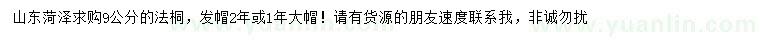 求購(gòu)9公分法桐