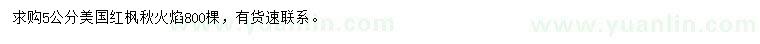 求購5公分美國紅楓