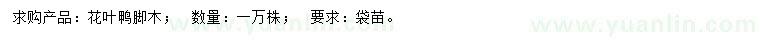 求購(gòu)花葉鴨腳木