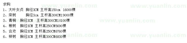 求購大葉女貞、欒樹、青桐等