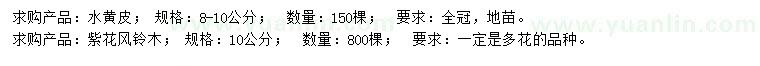 求購8-10公分水黃皮、10公分紫花風(fēng)鈴木