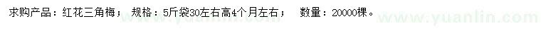 求購高30公分紅花三角梅