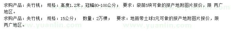 求購高1.2米夾竹桃