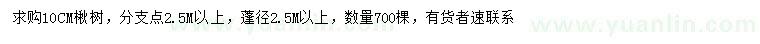 求購(gòu)10公分楸樹(shù)