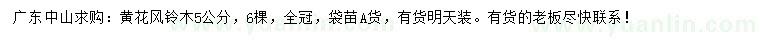 求購5公分黃花風(fēng)鈴木