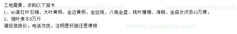 求購紅葉石楠、大葉黃楊、金邊黃楊等