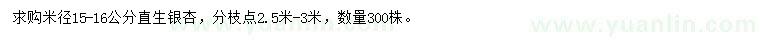 求購米徑15-16公分銀杏