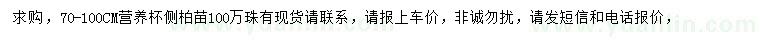 求購70-100公分側(cè)柏