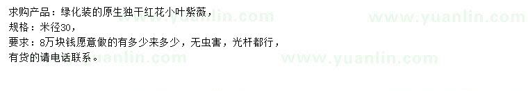 求購米徑30公分紅花小葉紫薇
