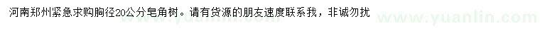求購胸徑20公分皂角樹