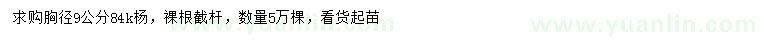 求購胸徑9公分84k楊