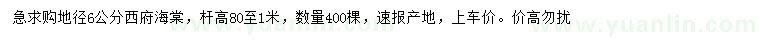 求購地徑6公分西府海棠
