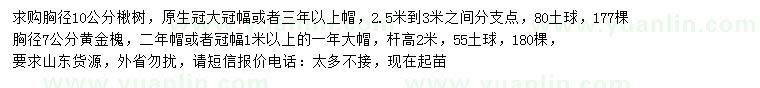 求購胸徑10公分楸樹、7公分金枝槐