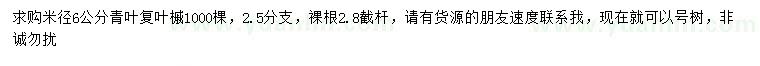 求購米徑6公分青葉復(fù)葉槭