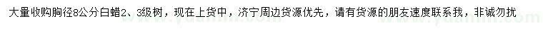 求購胸徑8公分白蠟