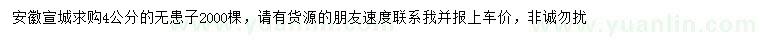 求購4公分無患子
