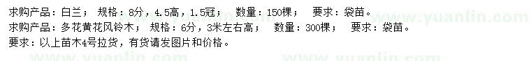 求購(gòu)8公分白蘭、6公分黃花風(fēng)鈴木