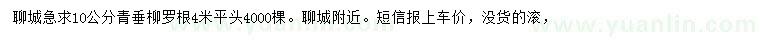 求購10公分青垂柳