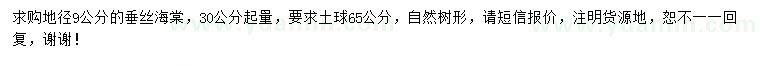 求購30公分量9公分垂絲海棠