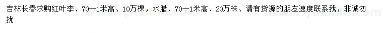 求購(gòu)高0.7-1米紅葉李、水臘