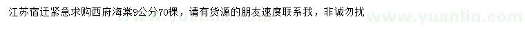 求購9公分西府海棠