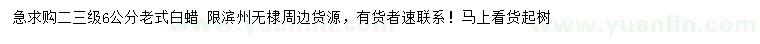 求購6公分老式白蠟