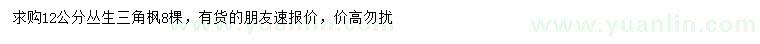 求購12公分三角楓