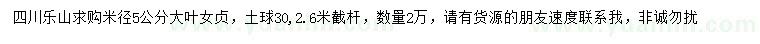 求購米徑5公分大葉女貞