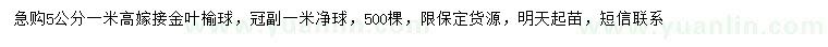 求購5公分嫁接金葉榆球