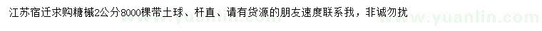 求購2公分糖槭
