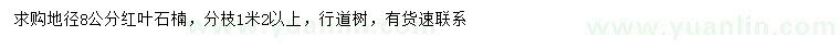 求購地徑8公分紅葉石楠