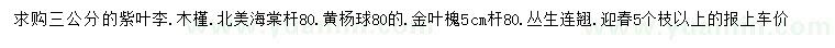 求購紫葉李、木槿、北美海棠等