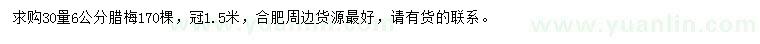 求購30量6公分臘梅