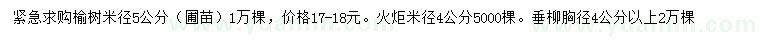 求購榆樹、火炬、垂柳