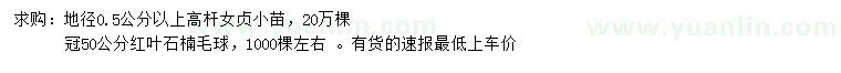 求購地徑0.5公分以上高桿女貞小苗、冠50公分紅葉石楠毛球