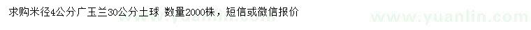 求購米徑4公分廣玉蘭