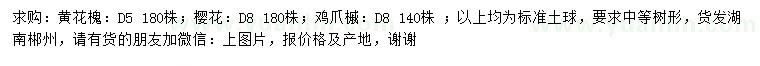 求購黃花槐、櫻花、雞爪槭