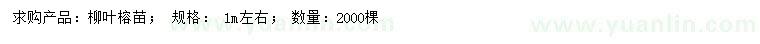 求購(gòu)1米柳葉榕
