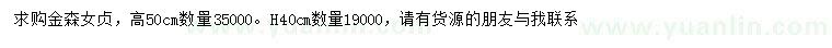 求購高50公分金森女貞