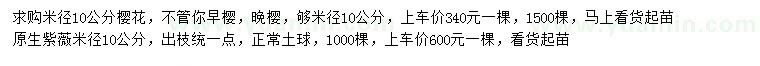 求購米徑10公分櫻花、紫薇