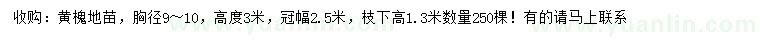 求購胸徑9-10公分黃槐