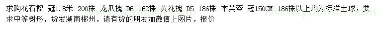 求購花石榴、龍爪槐、黃花槐等