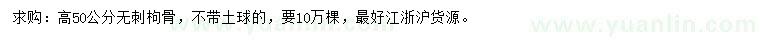 求購高50公分無刺枸骨