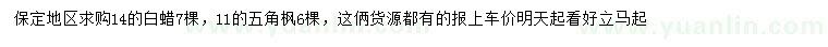 求購14公分白蠟、11公分五角楓