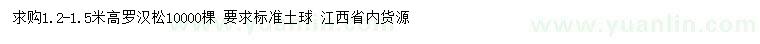 求購高1.2-1.5米羅漢松