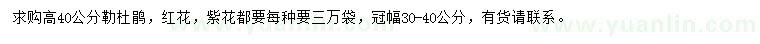 求購高40公分勒杜鵑