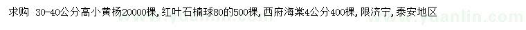求購黃楊、紅葉石楠球、西府海棠